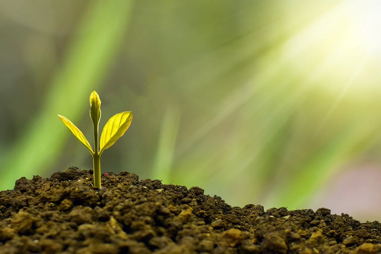 environmental and social